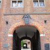 torun 46